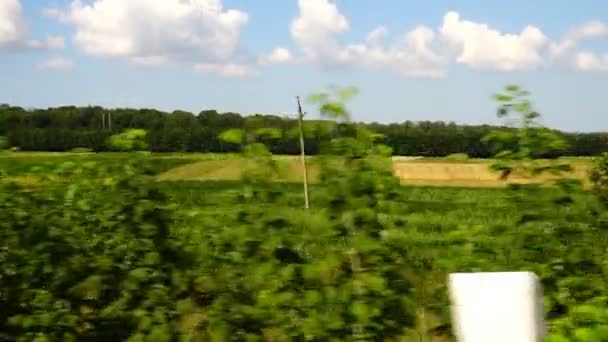 Agricultural Field Shooting Movement — Stock Video
