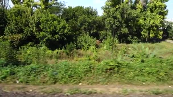 Dorf Und Nutzgärten Schießen Der Bewegung — Stockvideo