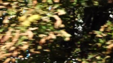 Tren tren istasyonuna varır. Harekette çekim..