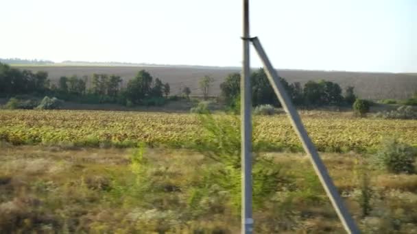 Campos Agrícolas Tiro Movimento — Vídeo de Stock