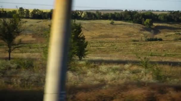 农业用地 运动中的射击 — 图库视频影像