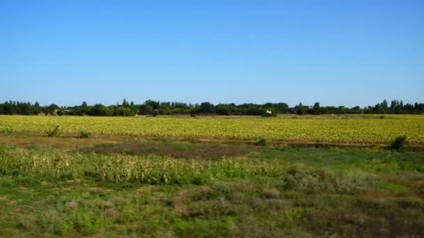 Landwirtschaftliche Flächen Schießen Der Bewegung — Stockvideo