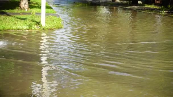 Flood City Rain Cars Move Street Slow Motion — Stock Video