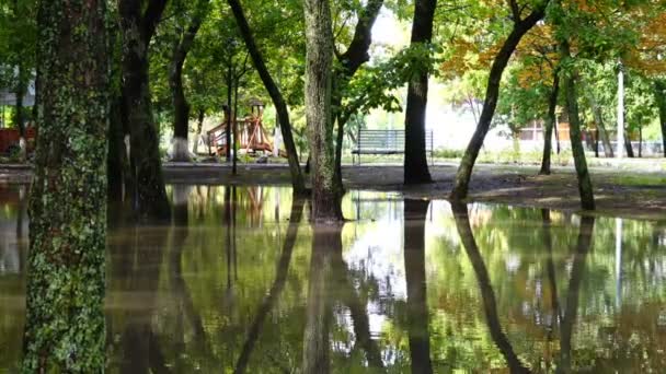 Pöla Parken Efter Ett Regn Träd Vatten — Stockvideo