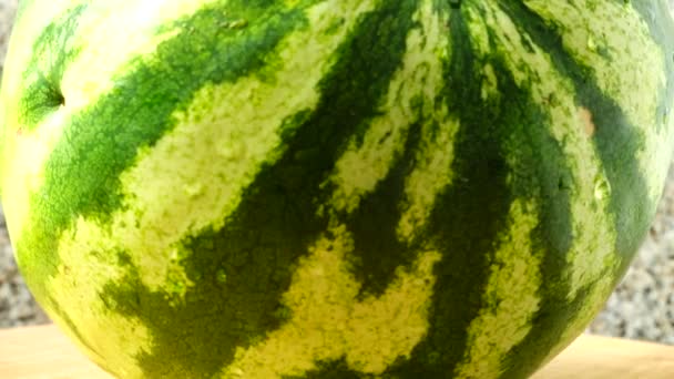Wassermelone Nahaufnahme Schießen Der Bewegung — Stockvideo