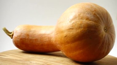 Mutfak tahtasındaki balkabağı. Harekete geçtiler. Harekette çekim..