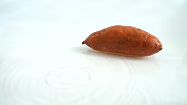 Batata Cayendo Agua Movimiento Lento — Vídeo de stock