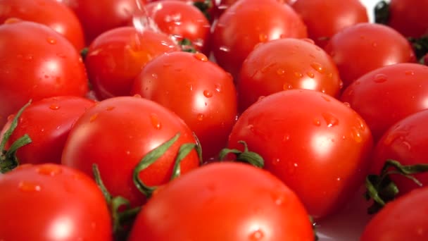 Lavagem Tomates Cereja Movimento Lento — Vídeo de Stock