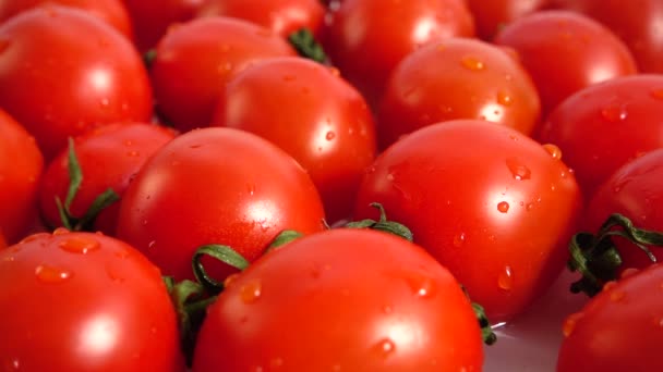 Lavado Tomates Cherry Movimiento Lento — Vídeos de Stock