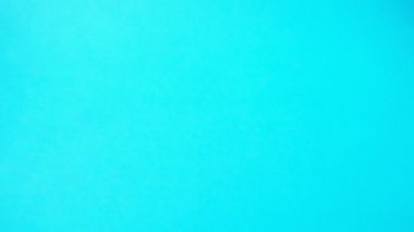 Düşen lalelerin yaprakları. Ağır çekim. Çiçek atıyoruz..