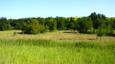 Kır manzarası. Harekette çekim..