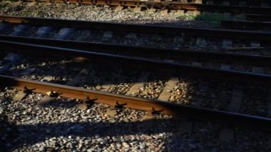 Demiryolu pisti. Harekette çekim..