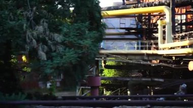 Eski bitki. Harekette çekim..