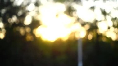 Gün batımı ve güneş ışınları ağaçların arasından geçiyor. Odaklanamıyorum. Harekette çekim..