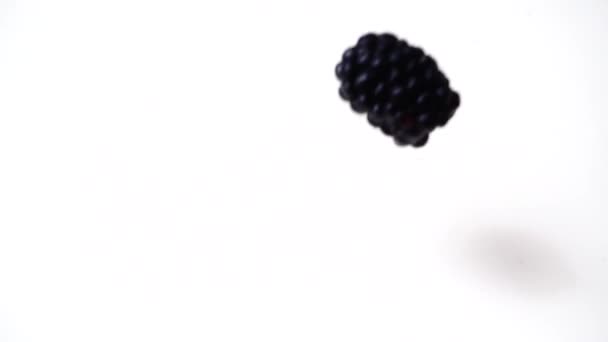 ミルクのブラックベリーの落下 スローモーション 果物の撮影 スローモーション — ストック動画