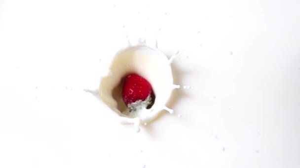 Der Fall Der Erdbeere Der Milch Zeitlupe Abschuss Von Früchten — Stockvideo