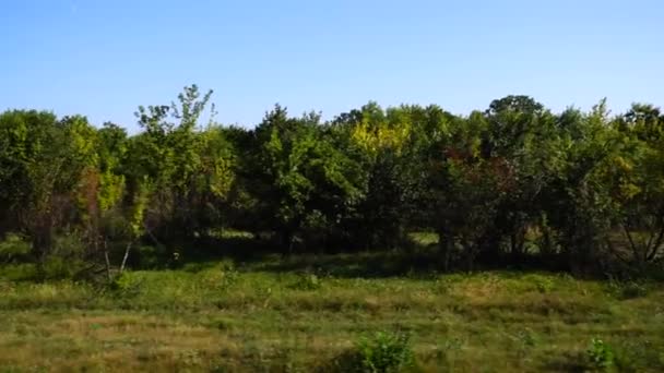 Paysage rural. Tir dans le mouvement .