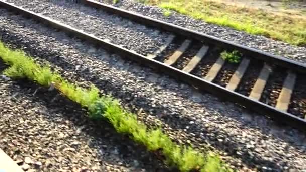 Railway Track Shooting Movement — Stock Video