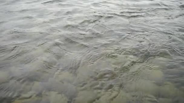 石头掉到河里去了 山河上的雨 慢动作 — 图库视频影像