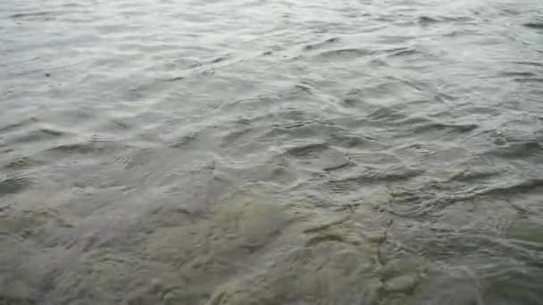 Падение Камня Реку Дождь Горной Реке Медленное Движение — стоковое видео