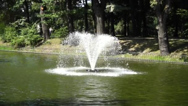 Fuente Lago Movimiento Lento — Vídeo de stock