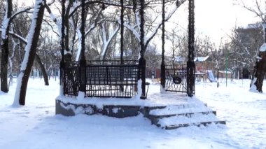 Kış parkındaki ağaç..