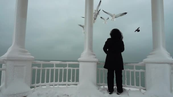 Gabbiani Nel Cielo Fronte Porto Girare Inverno Rallentatore — Video Stock