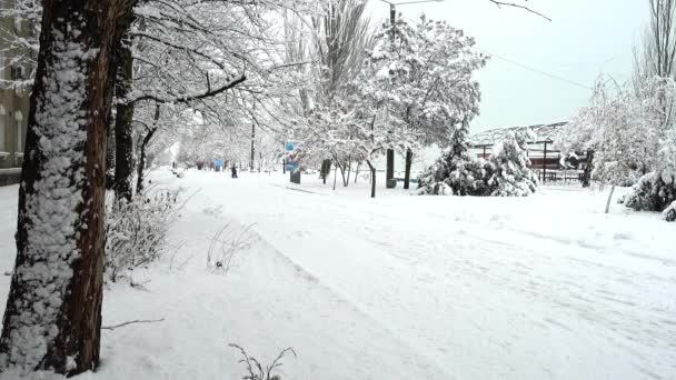 Stadt Winter Schießerei Nachmittag — Stockvideo