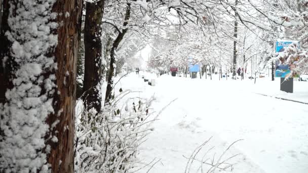 Cidade Inverno Tiroteio Tarde — Vídeo de Stock