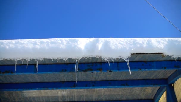 Agua Goteando Los Carámbanos Disparos Invierno Movimiento Lento — Vídeos de Stock