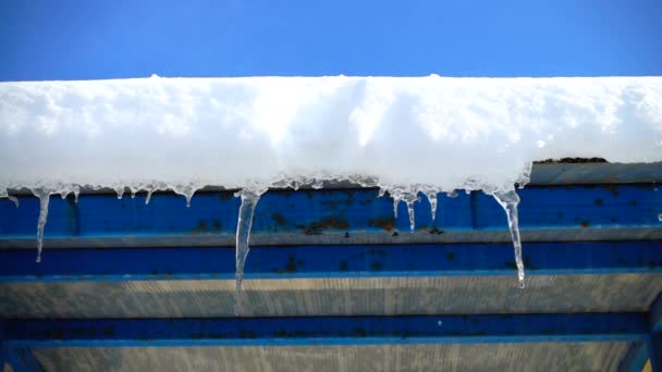 Het Water Druipt Van Ijspegels Schieten Winter Langzame Beweging — Stockvideo