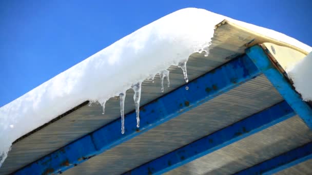 Вода Витікає Бурульок Стрілянина Взимку Повільний Рух — стокове відео