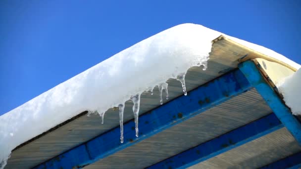 Eau Coule Des Glaçons Tournage Hiver Mouvement Lent — Video