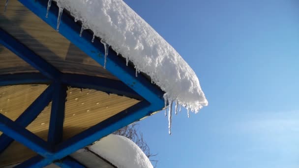 Das Wasser Tropft Von Eiszapfen Dreharbeiten Winter Zeitlupe — Stockvideo