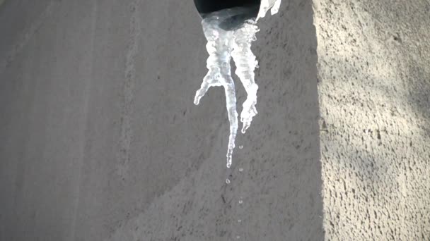 Water Dripping Icicles Shooting Winter Slow Motion — Stock Video