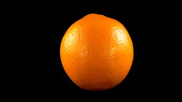 Oranges Black Background — Stock Video