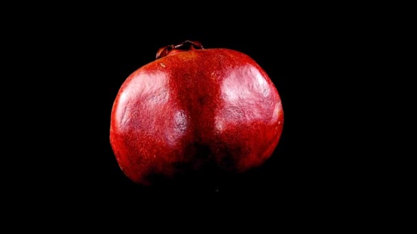 Pomegranate Black Background — Stock Video