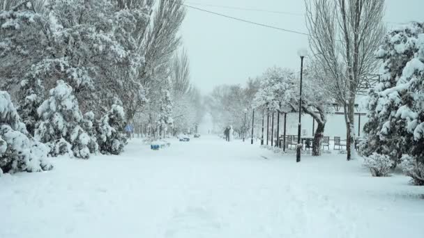 Ciudad Invierno Disparando Por Tarde Disparos Invierno — Vídeos de Stock