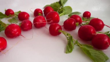 Sulu turpun suya düşüşü. Yavaş çekim.