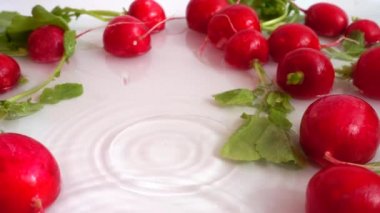 Sulu turpun suya düşüşü. Yavaş çekim.