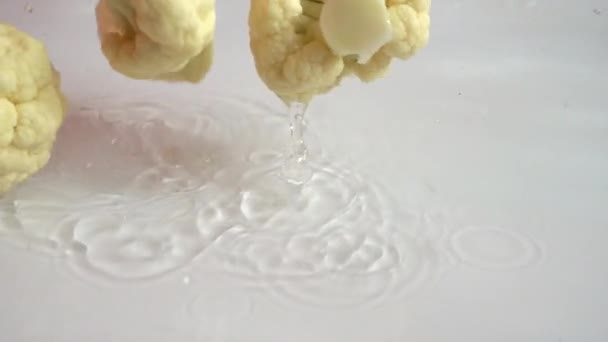 Rijpe Bloemkool Water Spatten — Stockvideo