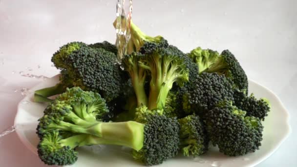 Ripe Broccoli Spray Slow Motion — Stock Video