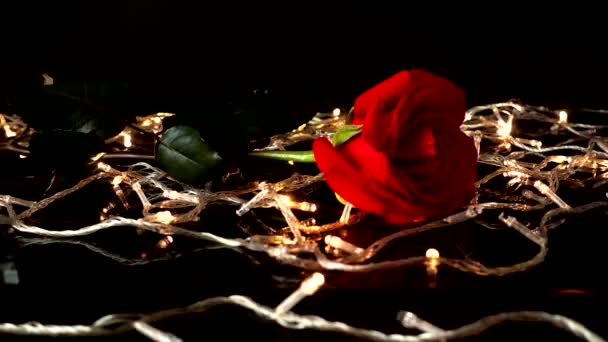 Roses Guirlandes Sur Fond Noir — Video