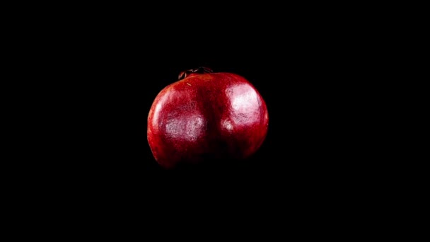 Pomegranate Black Background — Stock Video