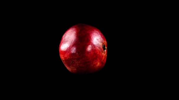 Granátové Jablko Černém Pozadí — Stock video