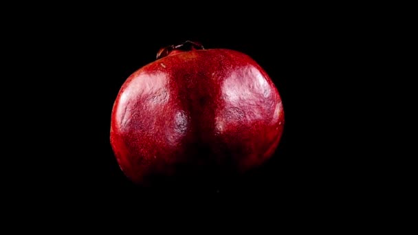 Pomegranate Black Background — Stock Video