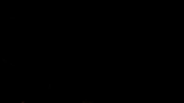 Chute d'une rose sur un fond noir. Mouvement lent .