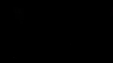 Siyah arka planda bir gülün düşüşü. Yavaş çekim.