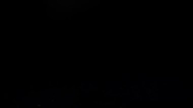 Siyah arka planda bir gülün düşüşü. Yavaş çekim.