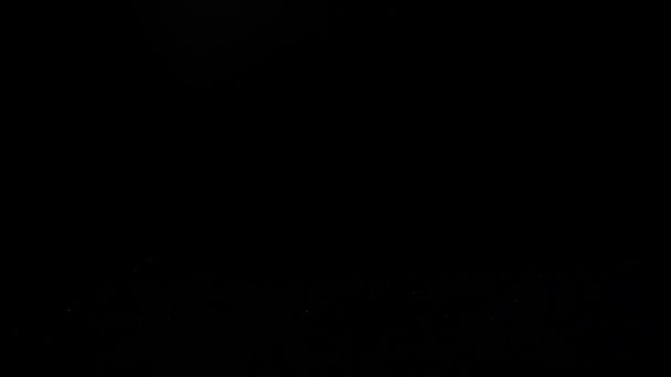 Chute d'une rose sur un fond noir. Mouvement lent .